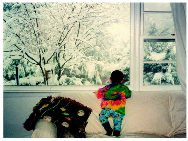 Boy Sees Snow Card